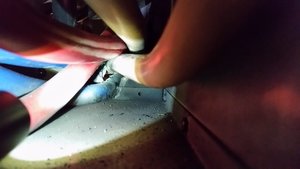 cable fault.jpg
